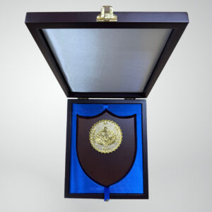 CNV Plaque