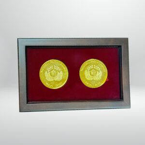 Customise Frame for Medallion