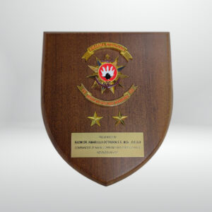 Customised 7x8 Shield plaque