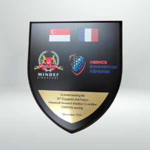 Customised 8x10 Shield Plaque