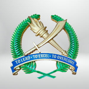 SAFTI MI Aluminium logo
