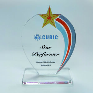 Star Crown Acrylic Plaque